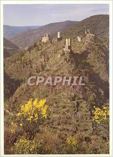 Cartes postales moderne Pays Cathare Les Quatre chateaux de Lastours Cabaret Tour Regine Fleur d'Espine et Queterinheux