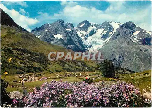 Cartes postales moderne Col du Lautaret (2058 m) Jardin alpin