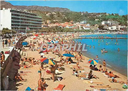 Cartes postales moderne La Cote d'Azur Varoise Le Lavandou La Plage