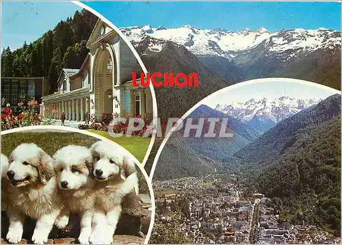 Cartes postales moderne Luchon Etablissement thermal cirque du Lys chiens des Pyrenees
