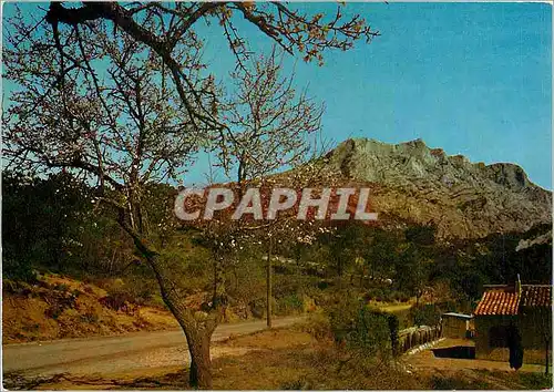 Cartes postales moderne Env  Aix en Provence Montagne Sainte Victoire