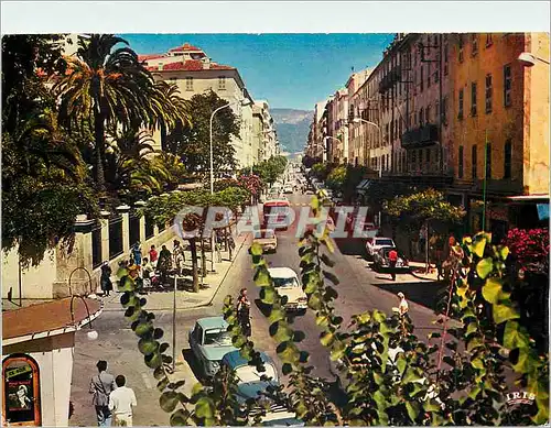 Cartes postales moderne Ajaccio (Corse) Le Cours Napoleon