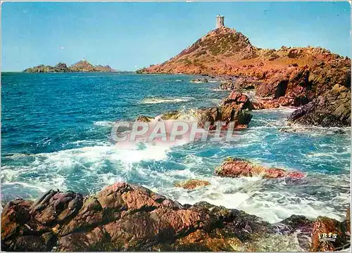 Cartes postales moderne Ajaccio (Corse) les iles Sainguinaires