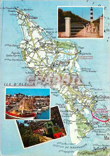 Cartes postales moderne Ile d'Oleron (Chte Mme)