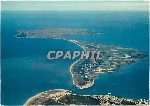 Cartes postales moderne Vues du Ciel Fromentine et l'Ile de Noirmoutier reliees par le nouveau pont