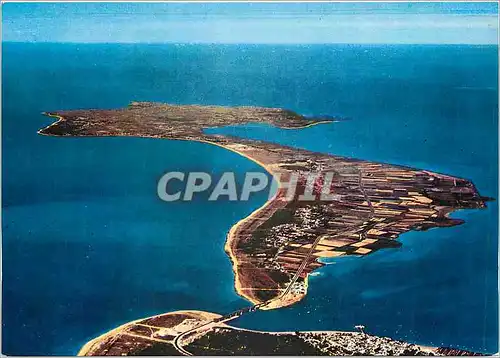 Cartes postales moderne Vues du Ciel Fromentine et l'Ile de Noirmoutier reliees par le nouveau pont