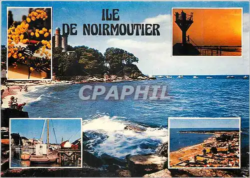 Cartes postales moderne Ile de Noirmoutier Ses plages et les Celebre Gois