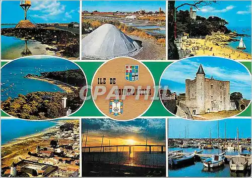 Cartes postales moderne Ile de Noirmoutier (Vendee)