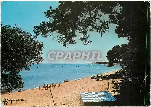 Cartes postales moderne Noirmoutier en l'Ile Coin de Plage aux Sableux