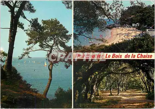 Moderne Karte Ile de Noirmoutier (Vendee) Le bois de la Chaise