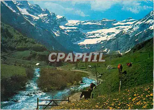 Cartes postales moderne Gavarnie le chemin du Cirque longe la Gave