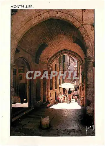 Cartes postales moderne Montpellier (Herault) Rue du Bras de Fer
