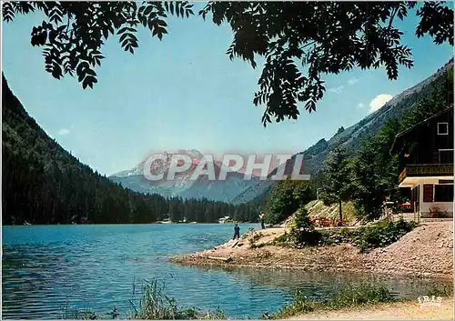 Cartes postales moderne Montriond (Haute Savoie) Environs de Morzine le Roc d'enfer 2240 m