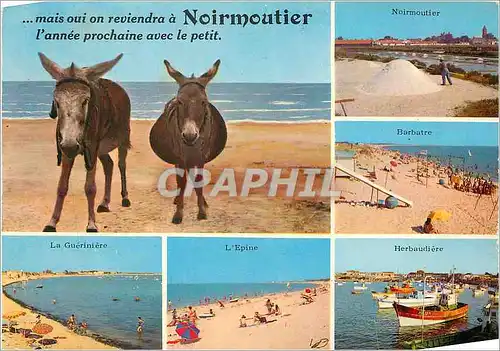Cartes postales moderne Ile de Noirmoutier Vues des pays de l'Ile Barbatre Herbaudiere L'Epine La Gueriniere