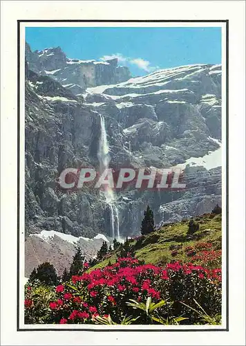 Cartes postales moderne Nos Belles Pyrenees Gavarnie (H P) Rhododendrons et Cascade du Cirque