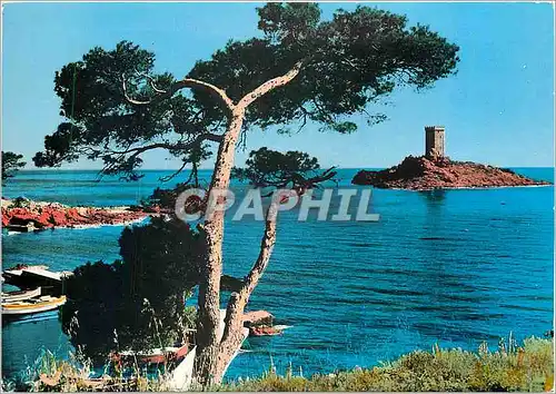 Cartes postales moderne Le Dramont (Var) L'Ile d'Or