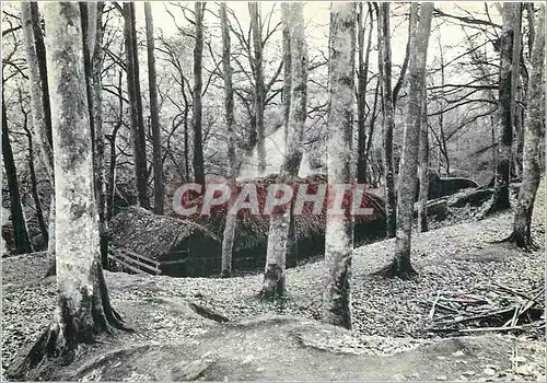 Cartes postales moderne Bretagne Pittoresque La Hutte du Sabotier Foret du Huelgoat