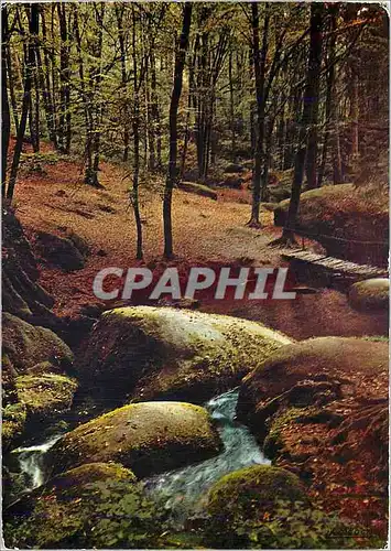 Cartes postales moderne Huelgoat (Finistere) Petit petit pont sur la mare aux sangliers