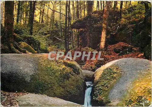 Cartes postales moderne Huelgoat (Finistere) Les rochers dans la foret