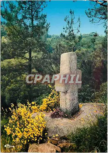 Cartes postales moderne Tresors Bretons Croix et Genets