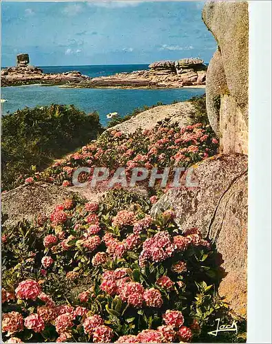 Cartes postales moderne La Cote Granit Rose Tregastel Les rochers le de et les crepes