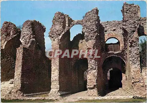 Cartes postales moderne Frejus (Var) les Arenes Romaines