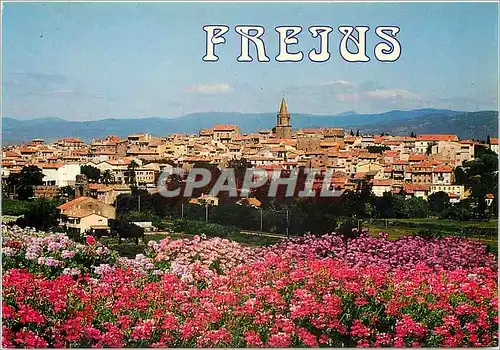 Cartes postales moderne Frejus (Var) Vue generale de la ville