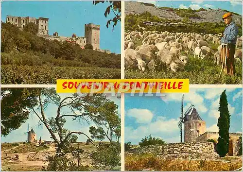 Cartes postales moderne La Provence le Moulin de Daudet l'Abbaye de Montmajour