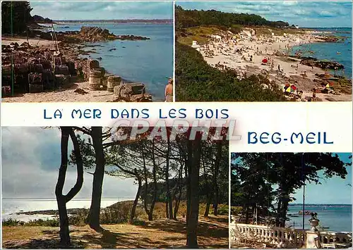 Moderne Karte La Bretagne en couleurs Beg Meil (Finistere) La mer dans les bois au port et sur les dunes