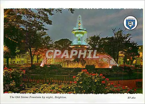 Cartes postales moderne Bighton The Old Steine Fountaine by night