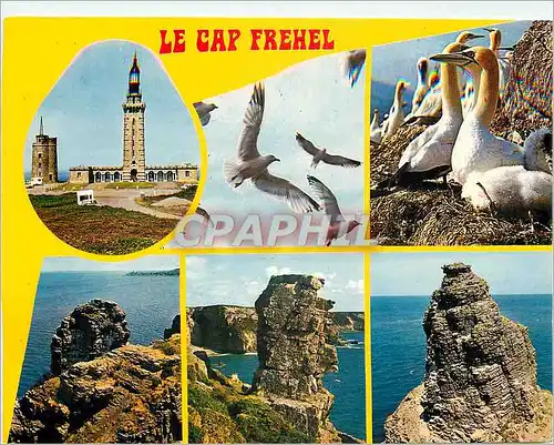 Moderne Karte Le Cap Frehel Reserve d'Oiseaux de mer