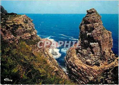 Cartes postales moderne Le Cap Frehel (Cote d'Armor) Rochers de la fauconniere dit le Rocher aux Mouettes