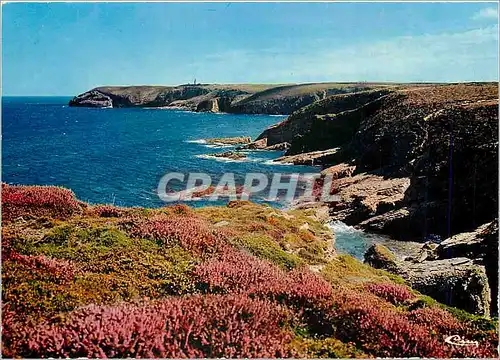 Cartes postales moderne Le Cap Frehel (Cote d'Armor) Falaises du Cap