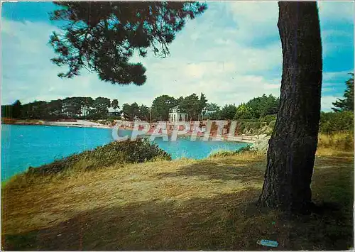 Moderne Karte Ile aux Moines (Morbihan) La Plage du Drenn