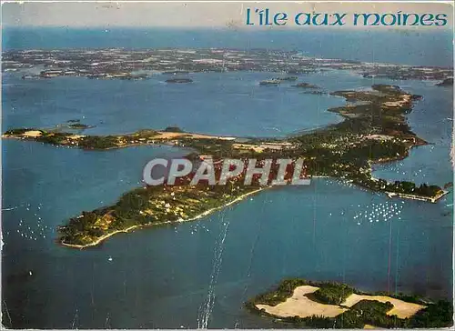 Cartes postales moderne Golfe du Morbihan L'Ile aux Moines Situee au milieu du Golfe l'Ile s'etend sur 7 km du nord au s