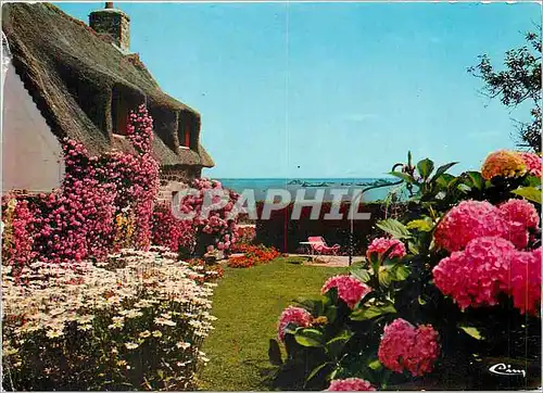 Cartes postales moderne Ile de Brehat (Cote d'Armot) Chaumiere fleurie