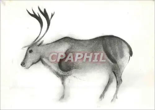 Cartes postales moderne Les Eyzies (Dordogne) Grotte de Font de Gaume Renne polychrome Releve de l'abbe Breuil