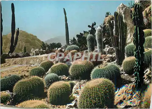 Moderne Karte Cote d'Azur Eze Village le jardin Exotique (Coussins de belle mere et candelabres