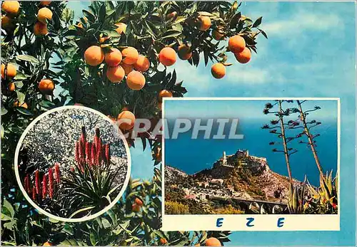 Cartes postales moderne Eze (A M Veritable nid d'aigle a 472 m d'alt