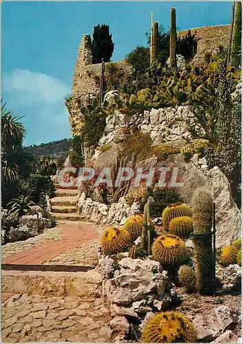 Cartes postales moderne La Cote d'Azur et ses jardins exotiques (Eze village)