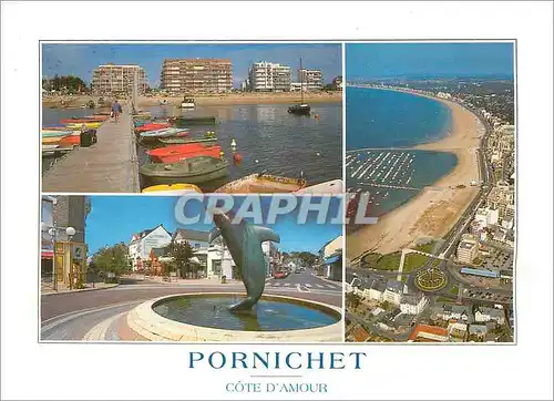Cartes postales moderne La Cote D'Amour Pornichet (Loire Atlantique) Dauphin