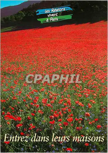 Cartes postales moderne Entrez dans leurs maisons Paris