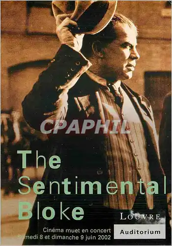 Cartes postales moderne The sentimantal Bloke Paris Louvre