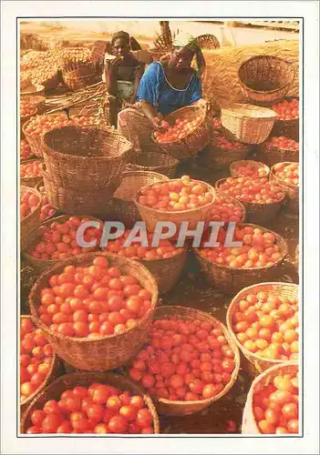 Cartes postales moderne Burkina Faso Bobo Dioulasso le marche