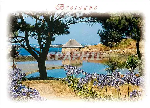 Cartes postales moderne La Bretagne Pittoresque L'Ile de Brehat