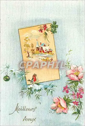 Cartes postales moderne Meilleurs Voeux
