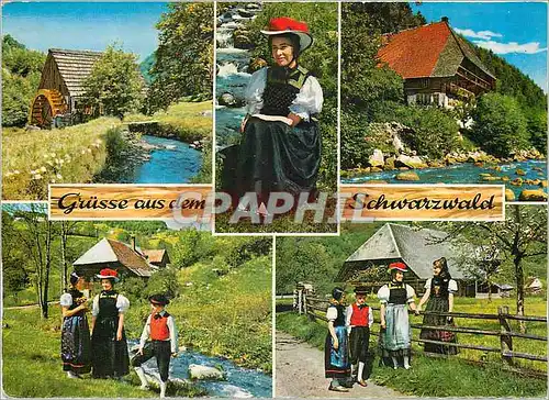Cartes postales moderne Grusse aus dem Schwarzwald