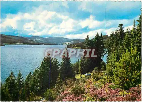 Cartes postales moderne Schwarzwald Schluchsee 930 m
