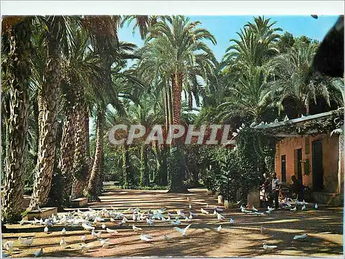 Cartes postales moderne Elche Parc Municipal Maison du gardien