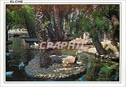 Cartes postales moderne Elche Parc Municipal